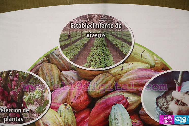 Nicaragua desarrolla Primer Congreso Internacional sobre Producci&oacute;n Sostenible de Cacao Fino